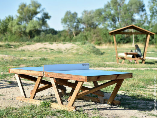 TABLE DE PING PONG